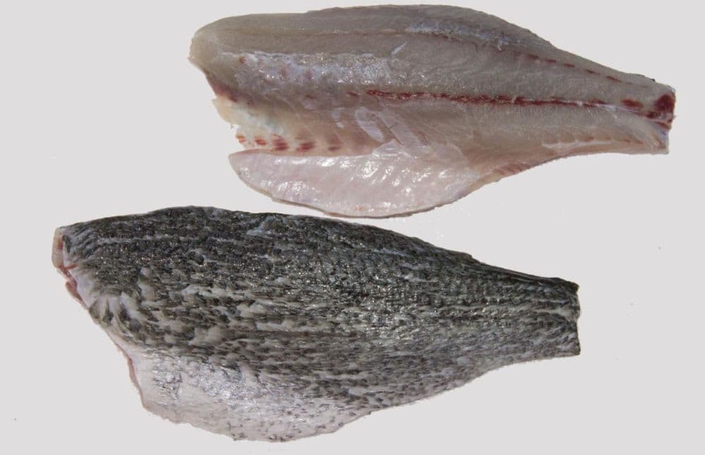 FILLET BARRAMUNDI